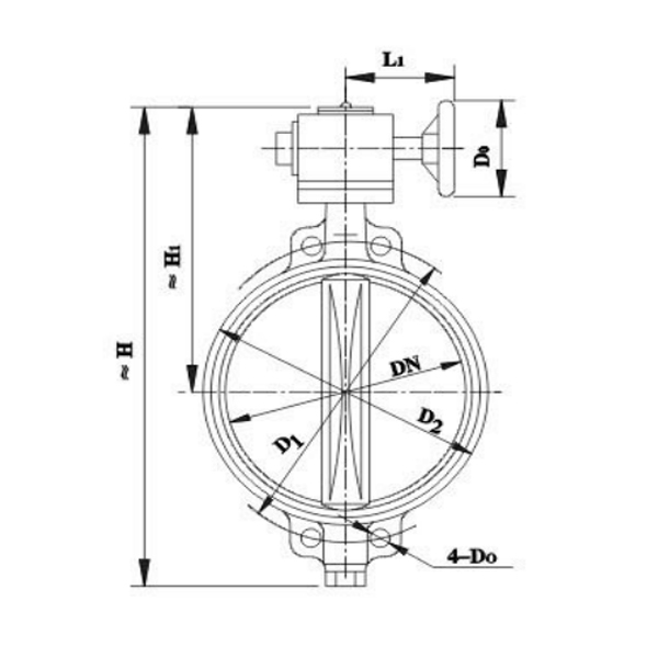 Marine Worm Manual Butterfly Valve.jpg